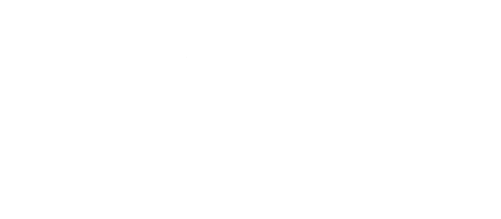 INVSN